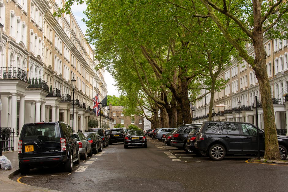 A residential street scene in Highbury featuring a row of white terraced Victorian-style houses with decorative columns and black iron balconies. Several parked cars, including a black van, are aligned along the curbside, with some positioned on designated parking bays marked with white dashed lines. Large, leafy trees with thick trunks and expansive green canopies line the street, casting shade over the parked vehicles. The pavement appears wet, indicating recent rain, and the street is quiet with no pedestrians or moving vehicles visible. The setting highlights typical urban residential parking amid historic architecture, relevant to home relocation and furniture transport in the context of house removals, as managed by Removal Companies Highbury.