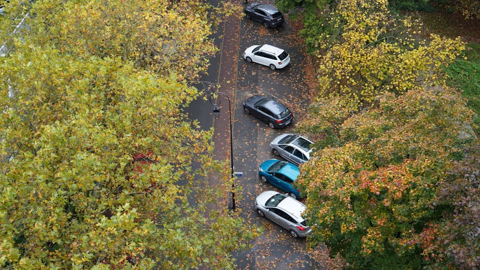 An aerial view of a small parking area surrounded by leafy trees with yellow, orange, and green foliage, indicating an autumn setting. Five vehicles, including a white hatchback, a black SUV, a silver estate car, a blue compact car, and a dark gray hatchback, are parked on the asphalt surface. The parking spaces are marked with white lines, and a black lamppost is situated along a narrow pedestrian walkway that runs alongside the parking area, which is separated from a residential building partially visible behind the trees. The scene depicts a quiet residential street that could be part of a house relocation or removal process, with the parked vehicles potentially used for transporting furniture, boxes, and packaging materials. This setting demonstrates typical parking arrangements and environmental features relevant to a home moving and parking management context, as described on the Highbury moving company page outlining Islington Council parking rules.