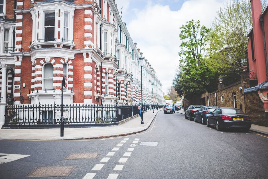 A residential street scene in Highbury featuring a row of white terraced Victorian-style houses with decorative columns and black iron balconies. Several parked cars, including a black van, are aligned along the curbside, with some positioned on designated parking bays marked with white dashed lines. Large, leafy trees with thick trunks and expansive green canopies line the street, casting shade over the parked vehicles. The pavement appears wet, indicating recent rain, and the street is quiet with no pedestrians or moving vehicles visible. The setting highlights typical urban residential parking amid historic architecture, relevant to home relocation and furniture transport in the context of house removals, as managed by Removal Companies Highbury.